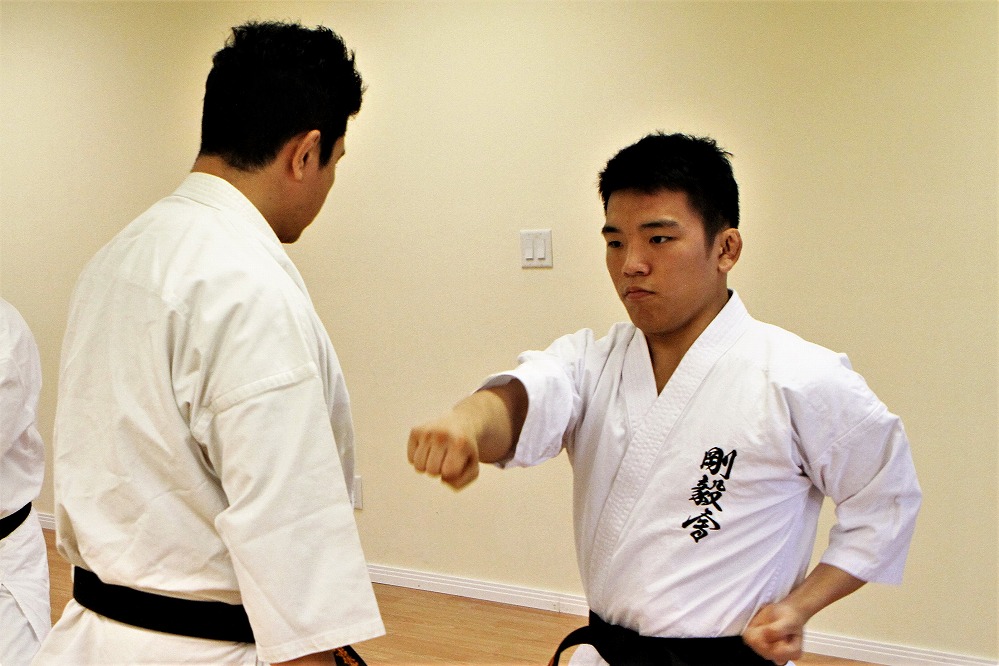 Gokikai Karate