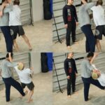 【UFC ESPN71】Fight＆Life#108より。中村倫也が手ほどきを受けた八卦掌、羅徳修（ロ・ドォショウ）老子