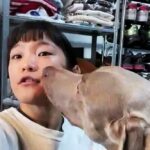 【ONE173】ショートノーティス出場、平田樹戦へ。澤田千優「早い段階でパウンドアウトか一本勝ち」